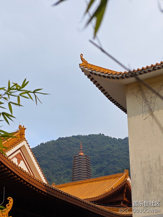 【活動回顧】弘法寺拜佛