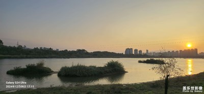 【愛攝影】濕地公園隨拍 ③