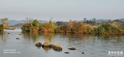 【愛攝影】濕地公園隨拍 ②