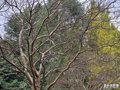 【冬季城市風光】+?氣候寒冷