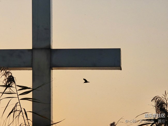 蘇州星部落 賞秋品鑒活動(dòng)