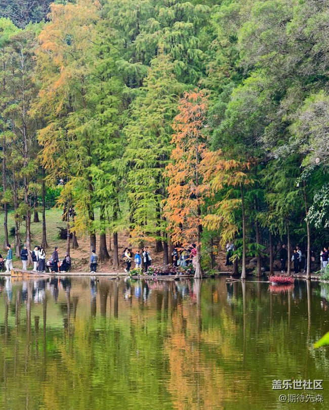 ?【活動(dòng)回顧】仙湖一日游
