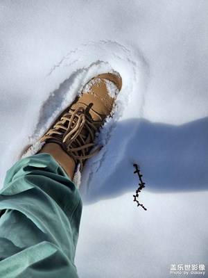 【冬季城市風(fēng)光】+五臺山