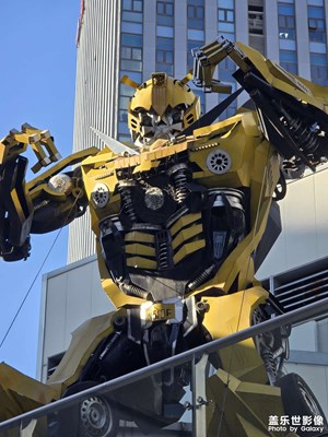 【冬季城市風(fēng)光】+ 冰凍三尺非一日之寒