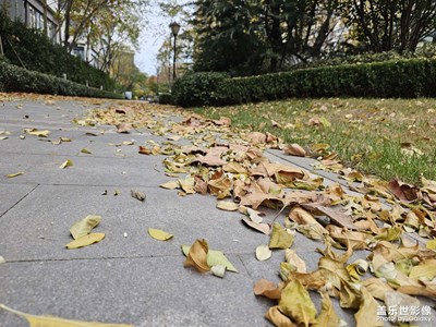 [冬季城市風光]隨拍