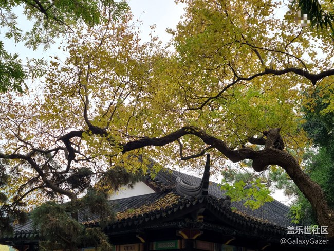 【秋日私語(yǔ)】秋天的生活