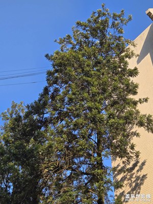 【冬季城市風(fēng)光】+?沐浴在陽(yáng)光里