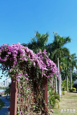 【冬季城市風(fēng)光】邕城冬季風(fēng)光