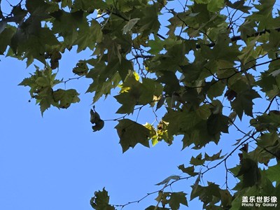 【冬季城市風(fēng)光】+ 蔚藍(lán)天空