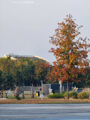 Galaxy S23Ultra   暮秋的畫筆