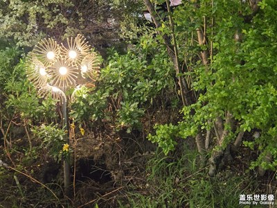 【冬季城市風(fēng)光】+?冬日光芒