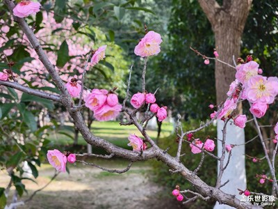【多元化的世界】+四季輪轉(zhuǎn)