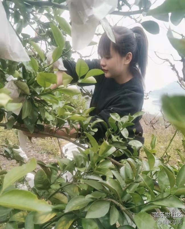 【2024再見(jiàn)】愜意生活