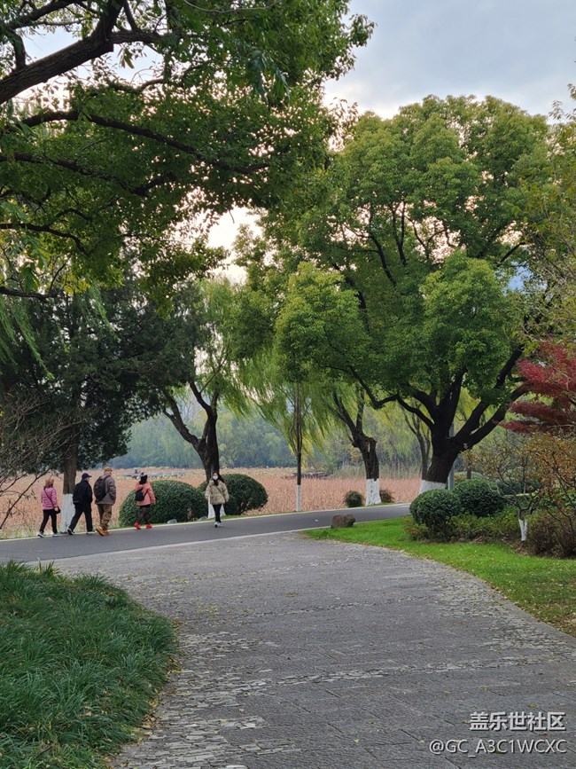 【人生是曠野】放慢腳步