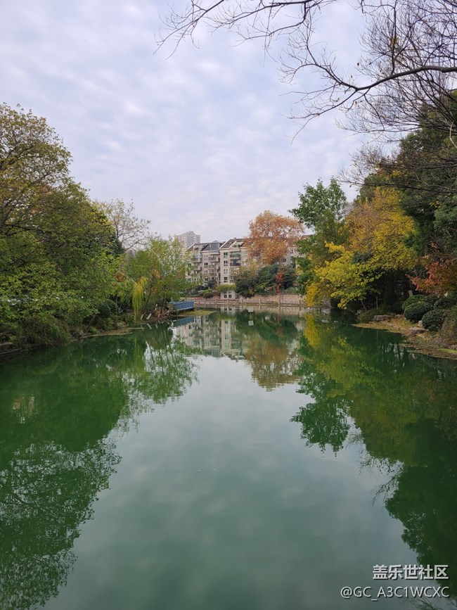 【人生是曠野】放慢腳步