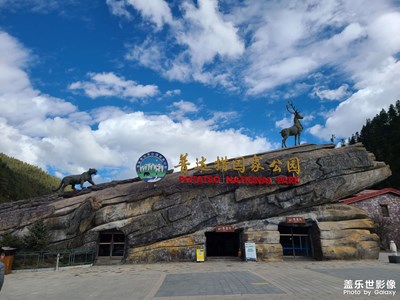 手機(jī)的風(fēng)景照