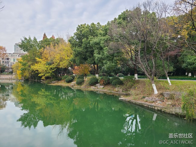 【人生是曠野】放慢腳步