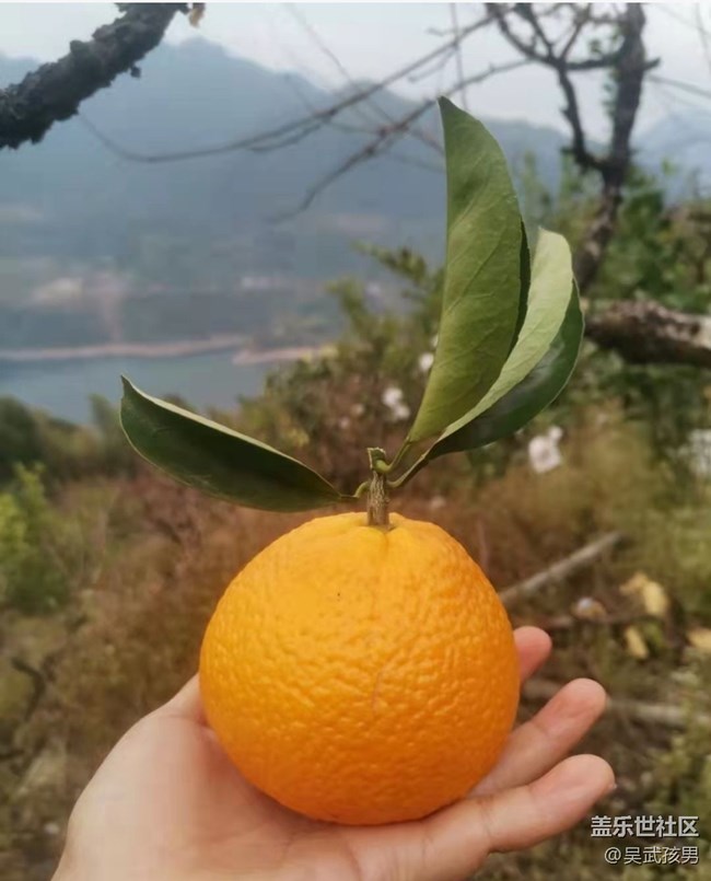 【2024再見(jiàn)】愜意生活