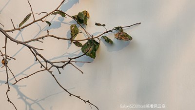 【多元化的世界】Galaxy S23Ultra 冬之魅影