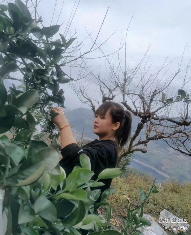 【2024再見(jiàn)】愜意生活