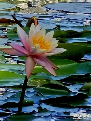 氣候宜人 滿目青翠