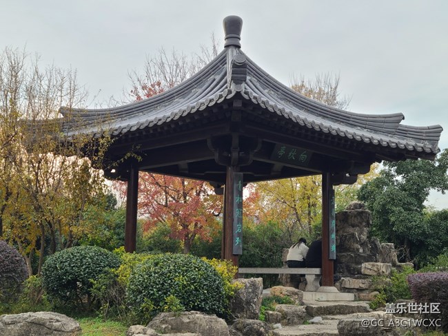 【人生是曠野】放慢腳步