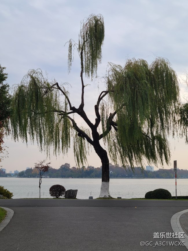 【人生是曠野】放慢腳步