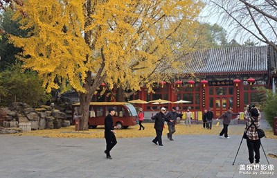 【多元化的世界】世界豐富多彩