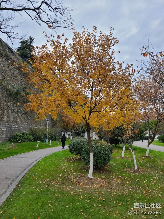 【秋日私語】秋天景色