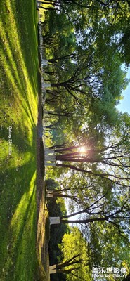 艾溪湖公園 S24UItra