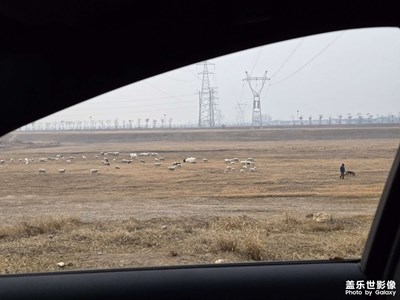 【多元化的世界】+車窗外的放牧