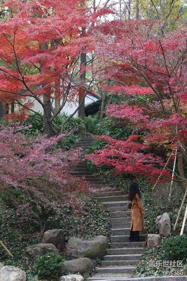 【Galaxy影像】#時(shí)光你慢些走+美圖