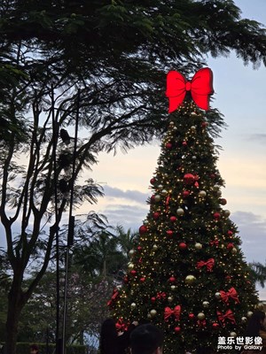 感受到了圣誕??氣氛