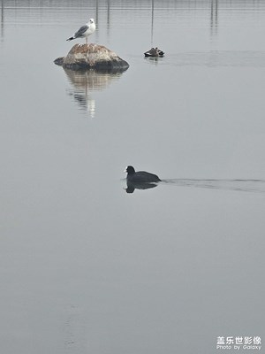 [多元化的世界]在水一方