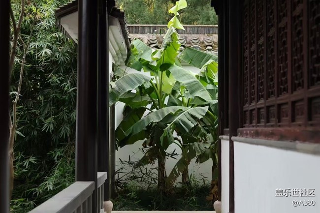 【Galaxy影像】#時(shí)光你慢些走+美圖