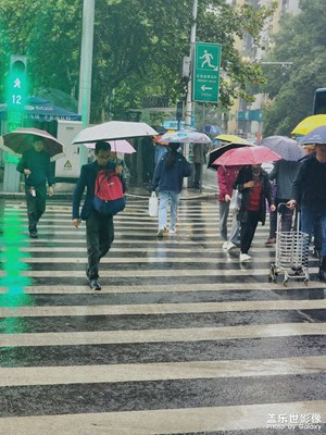 【多元化的世界】霧雨蒙蒙