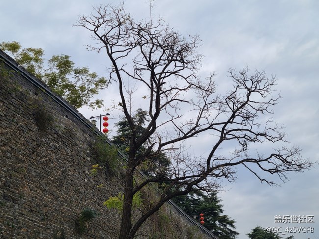 【秋日私語】秋天景色