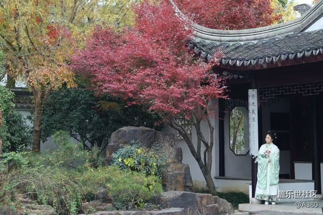 【Galaxy影像】#時(shí)光你慢些走+美圖