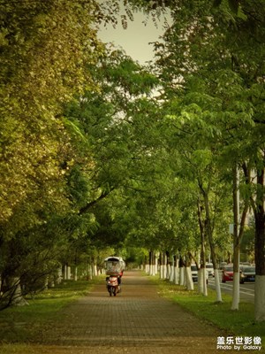 【多元化的世界】+白天不懂夜的美??