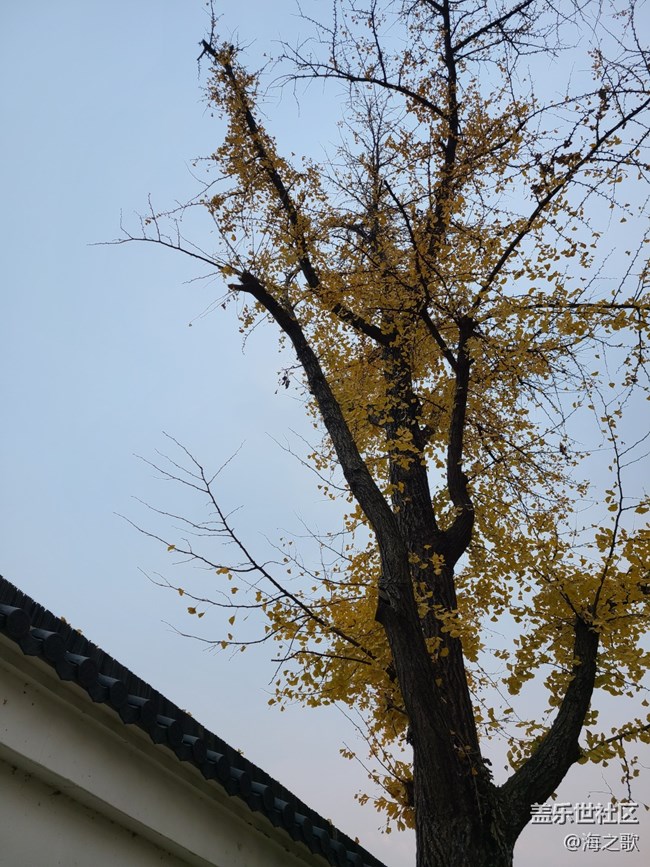 【人生是曠野】豁達(dá)人生