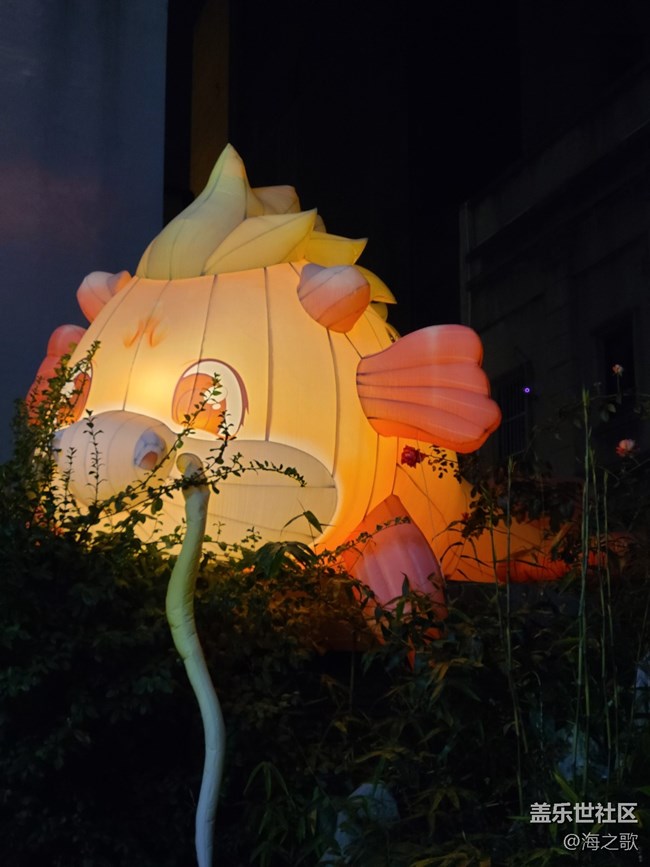 【三星夜未央】夜色迷人