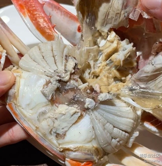 【暖鍋相聚】大螃蟹