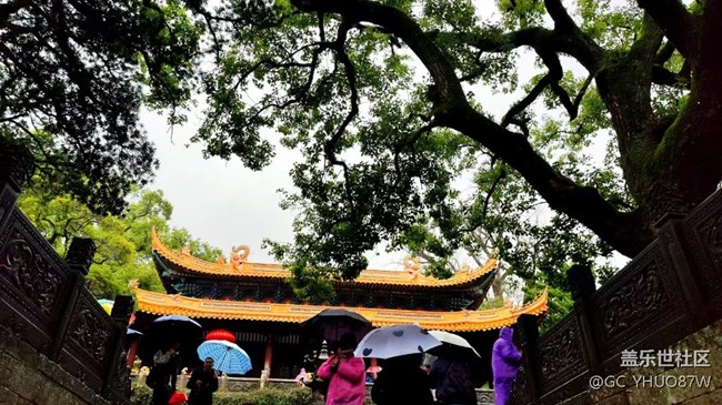 【Galaxy影像】#時(shí)光你慢些走+普陀山