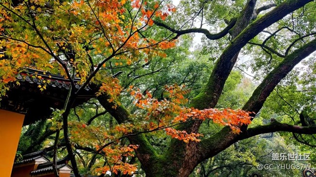 【Galaxy影像】#時(shí)光你慢些走+普陀山