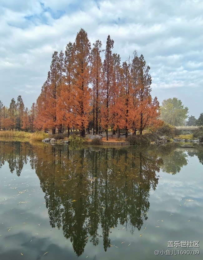 【歲末記憶】頤和皇家美景