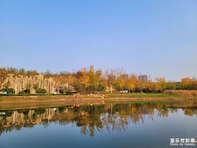 【多元化的世界】初冬