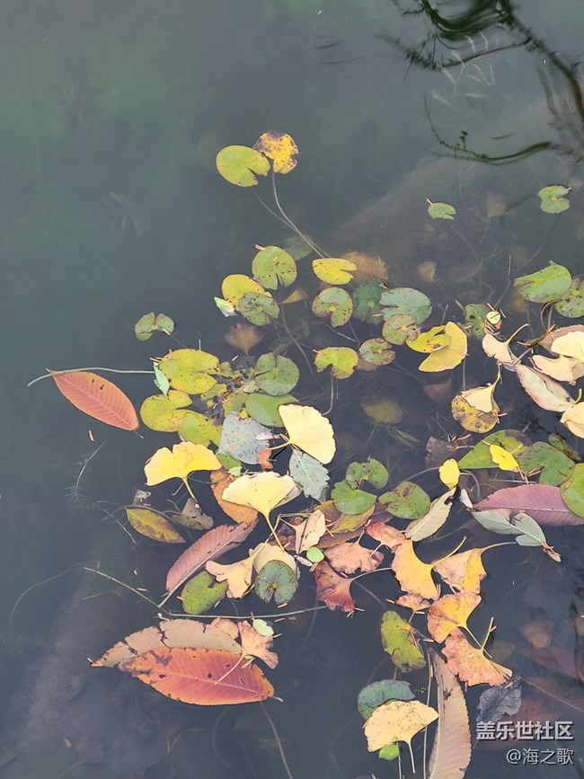 【人生是曠野】豁達(dá)人生