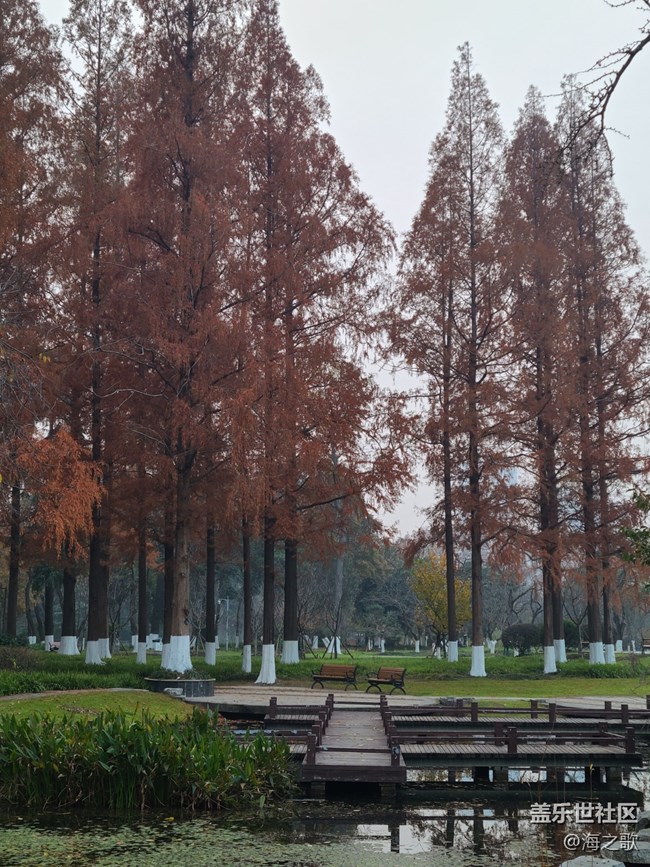 【人生是曠野】豁達(dá)人生