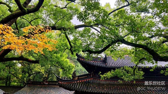 【Galaxy影像】#時(shí)光你慢些走+普陀山