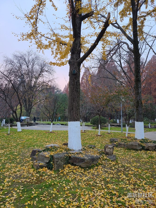 【人生是曠野】豁達(dá)人生